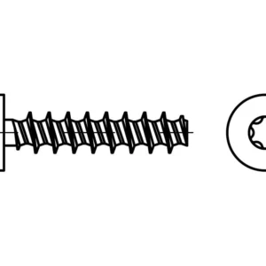 EB 89700PT silindirik başlı ve TORX soketli plastik için sertleştirilmiş vidalar